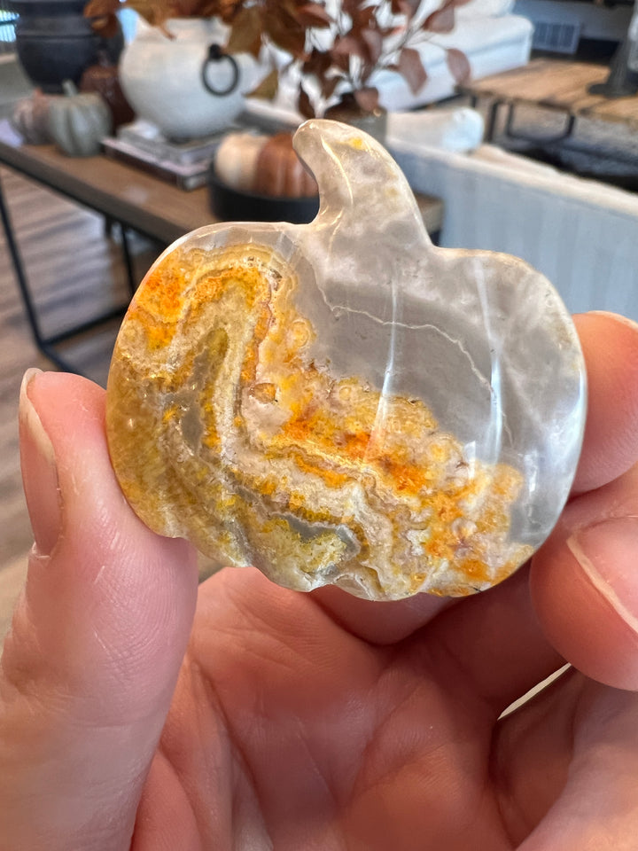 Bumblebee Jasper Pumpkin (11)