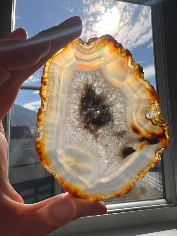 Iris Agate Slice (2) | 68g
