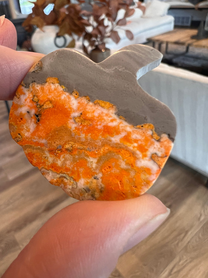 Bumblebee Jasper Pumpkin (22)