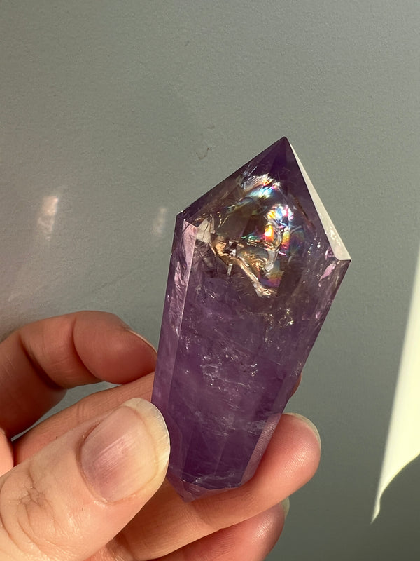 Ametrine Vogel (2)