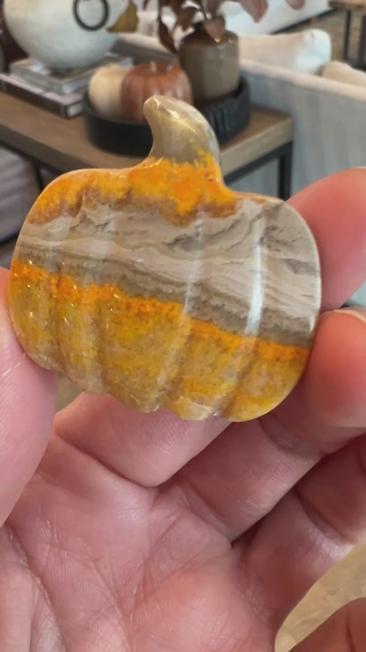 Bumblebee Jasper Pumpkin (28)