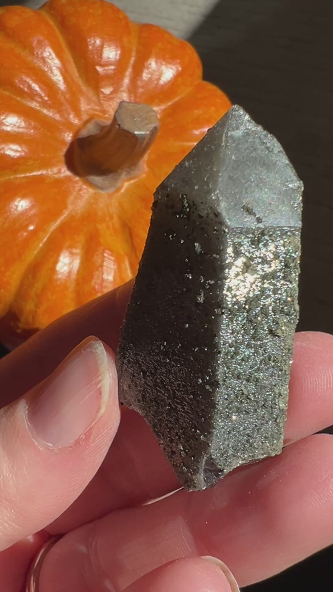 Lustrous Druzy coated Smoky Quartz (4) | 29g