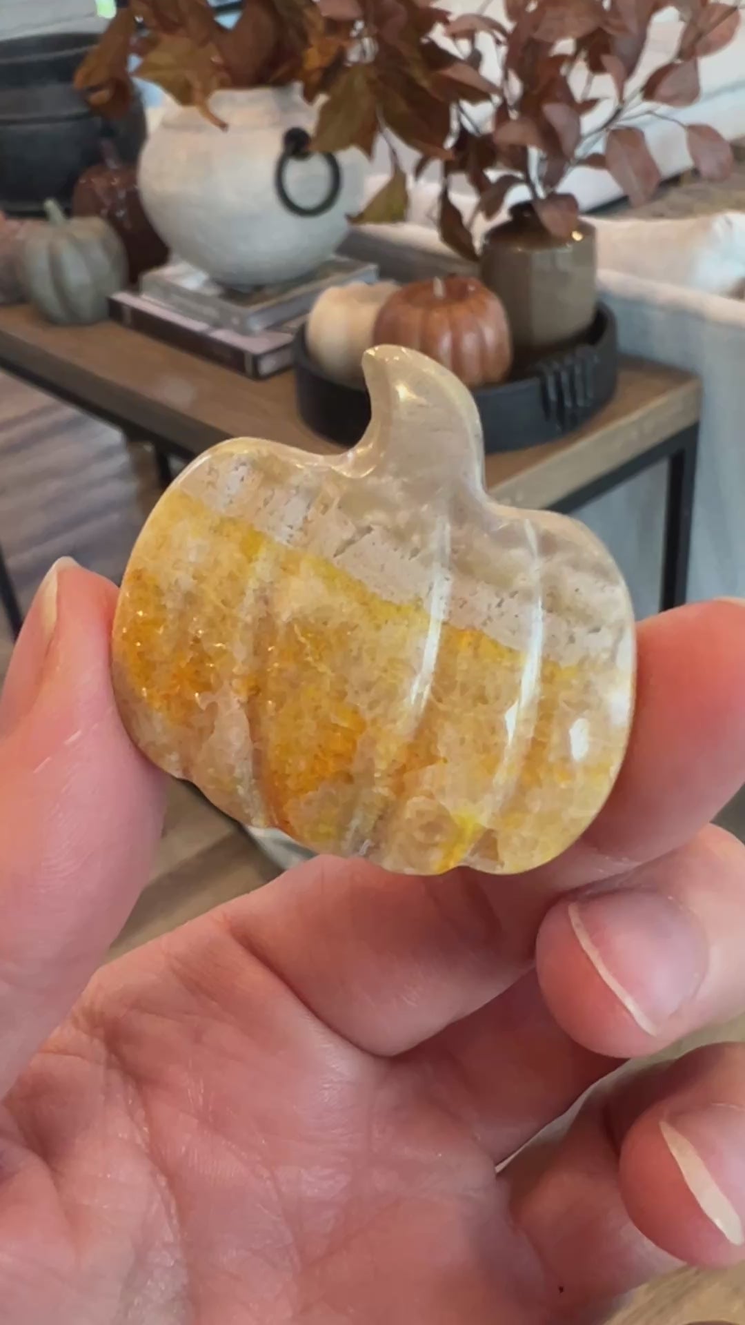 Bumblebee Jasper Pumpkin (12)