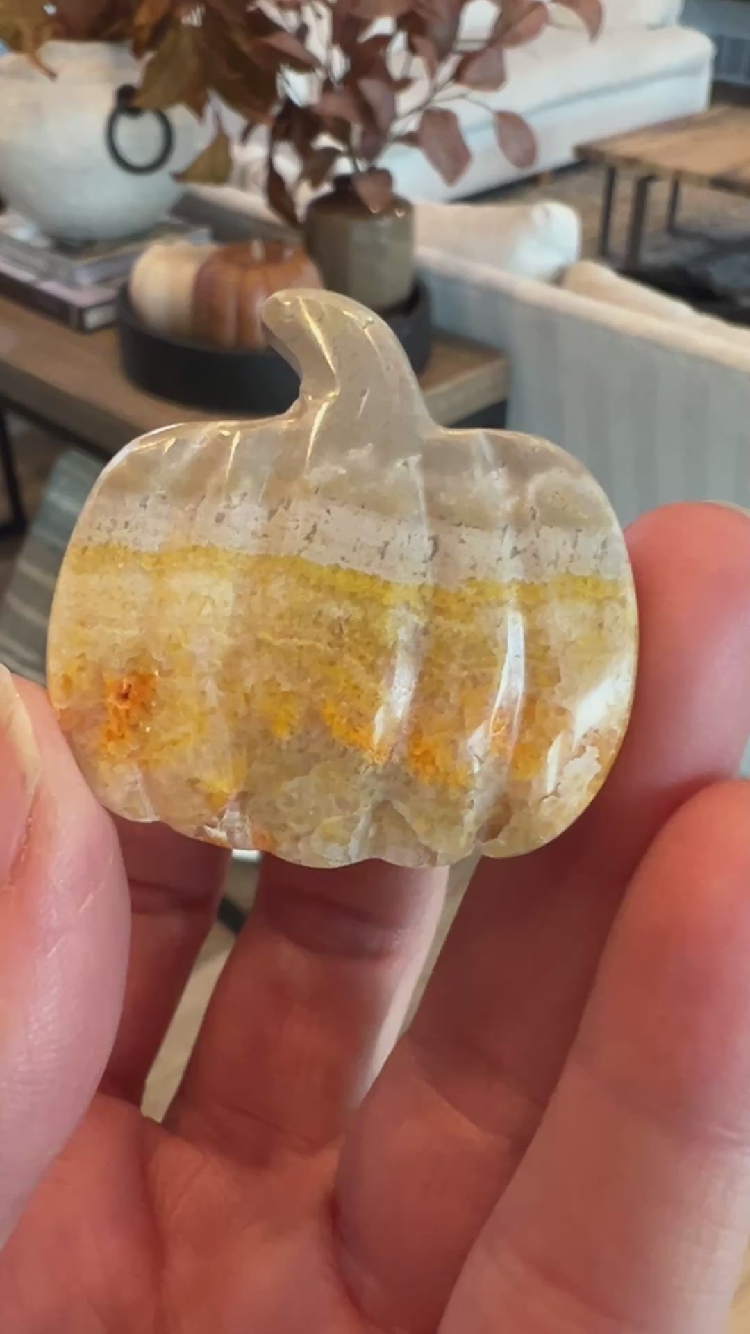Bumblebee Jasper Pumpkin (16)