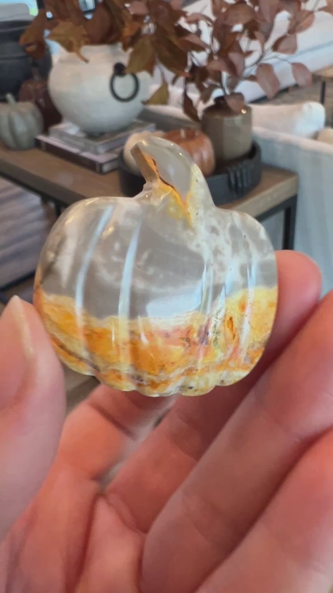 Bumblebee Jasper Pumpkin (6)