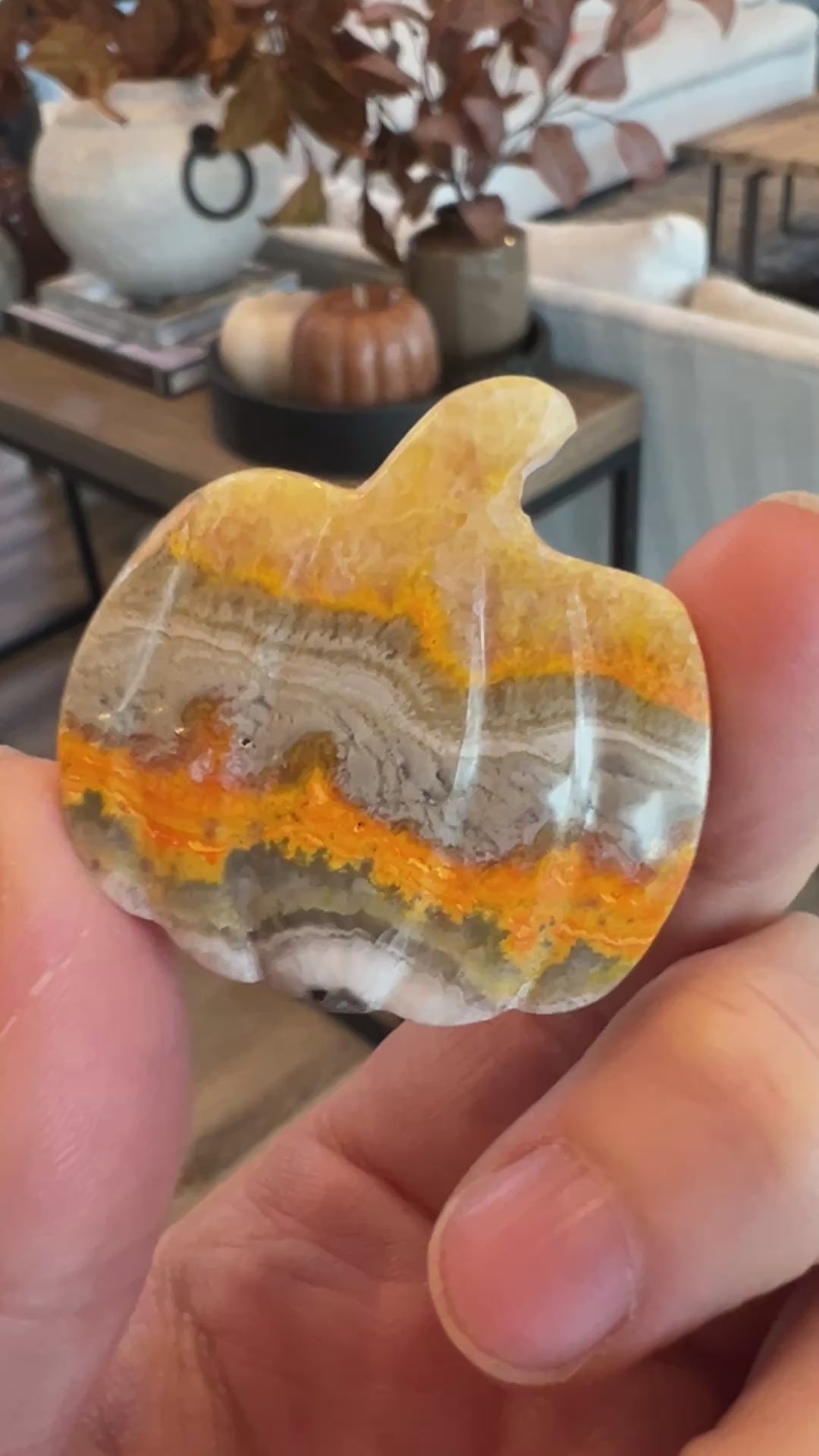 Bumblebee Jasper Pumpkin (21)