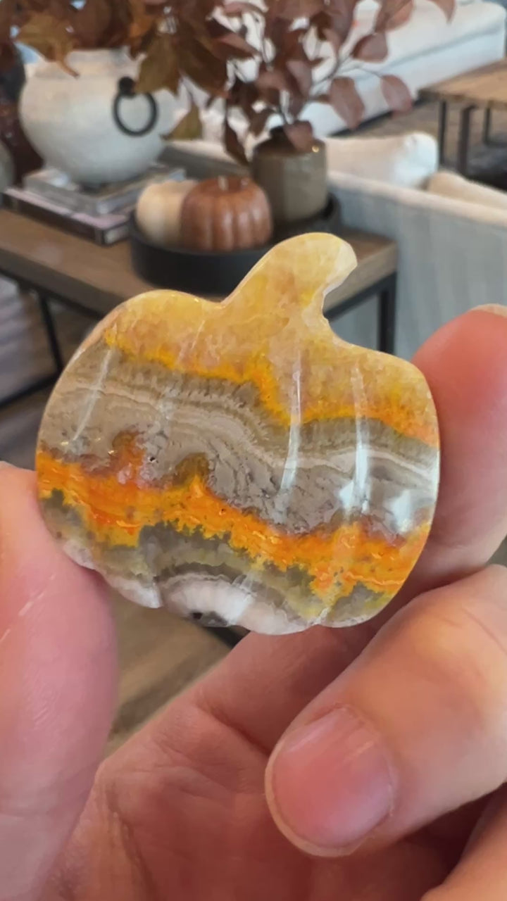 Bumblebee Jasper Pumpkin (21)