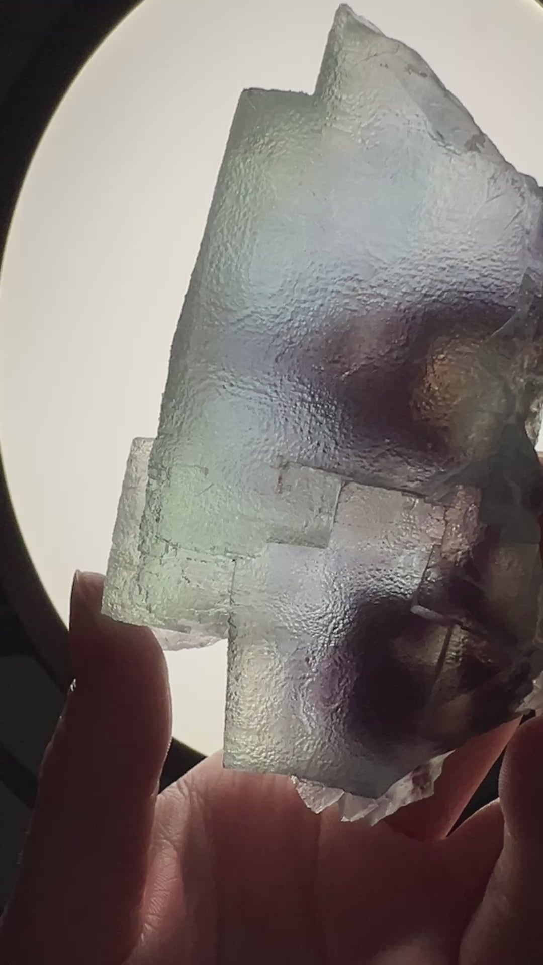 Fluorite (8) | 284.1g