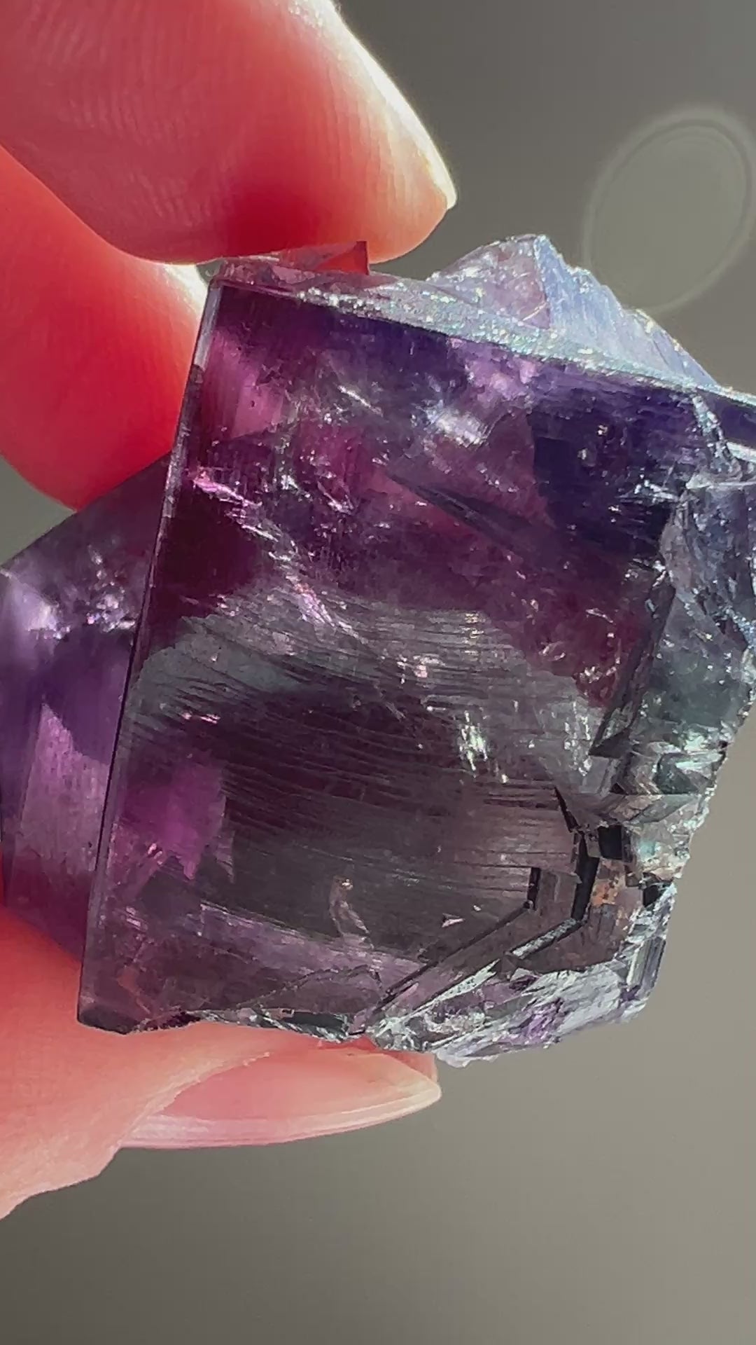 Purple Rain Pocket Fluorite Enhydro |68.2g