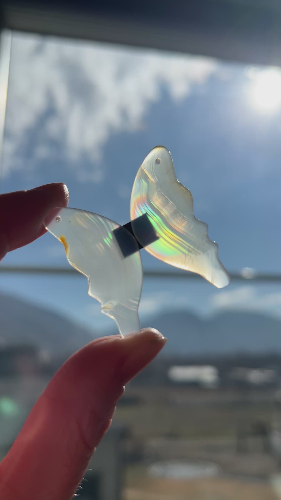 Iris Agate Drilled Butteryfly Wings (25)