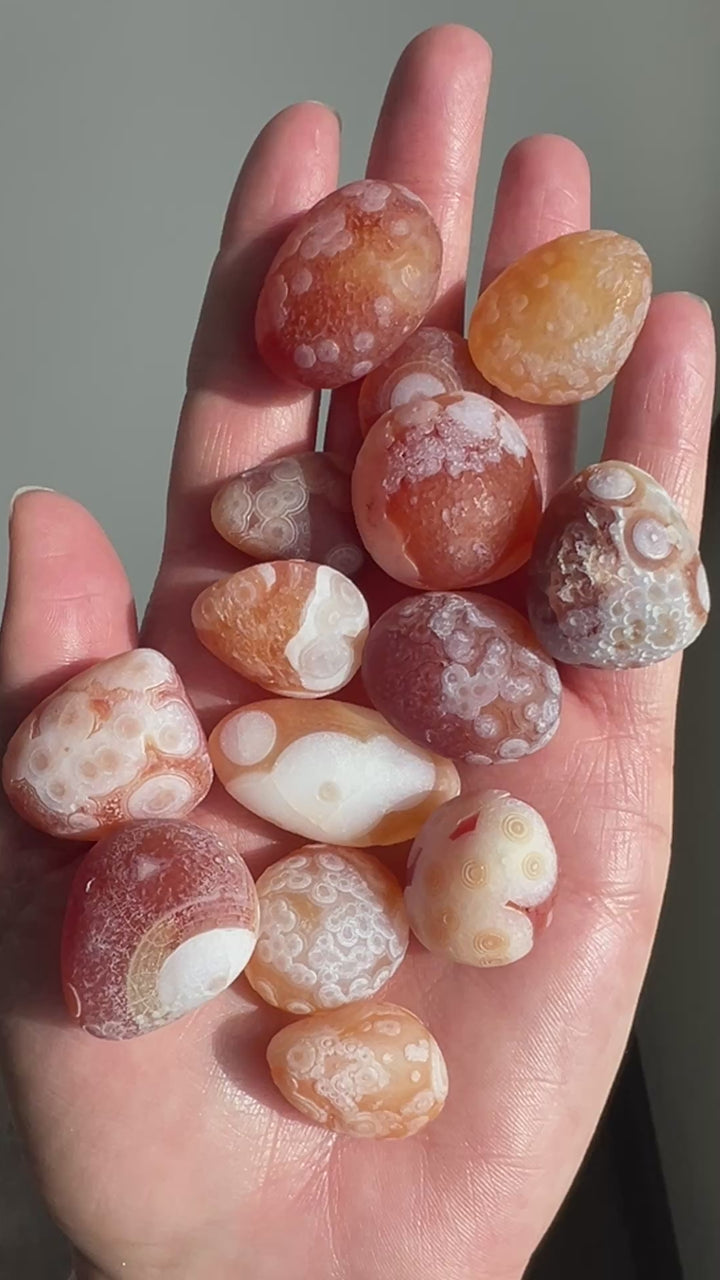 Wholesale Gobi Desert Agate Lot
