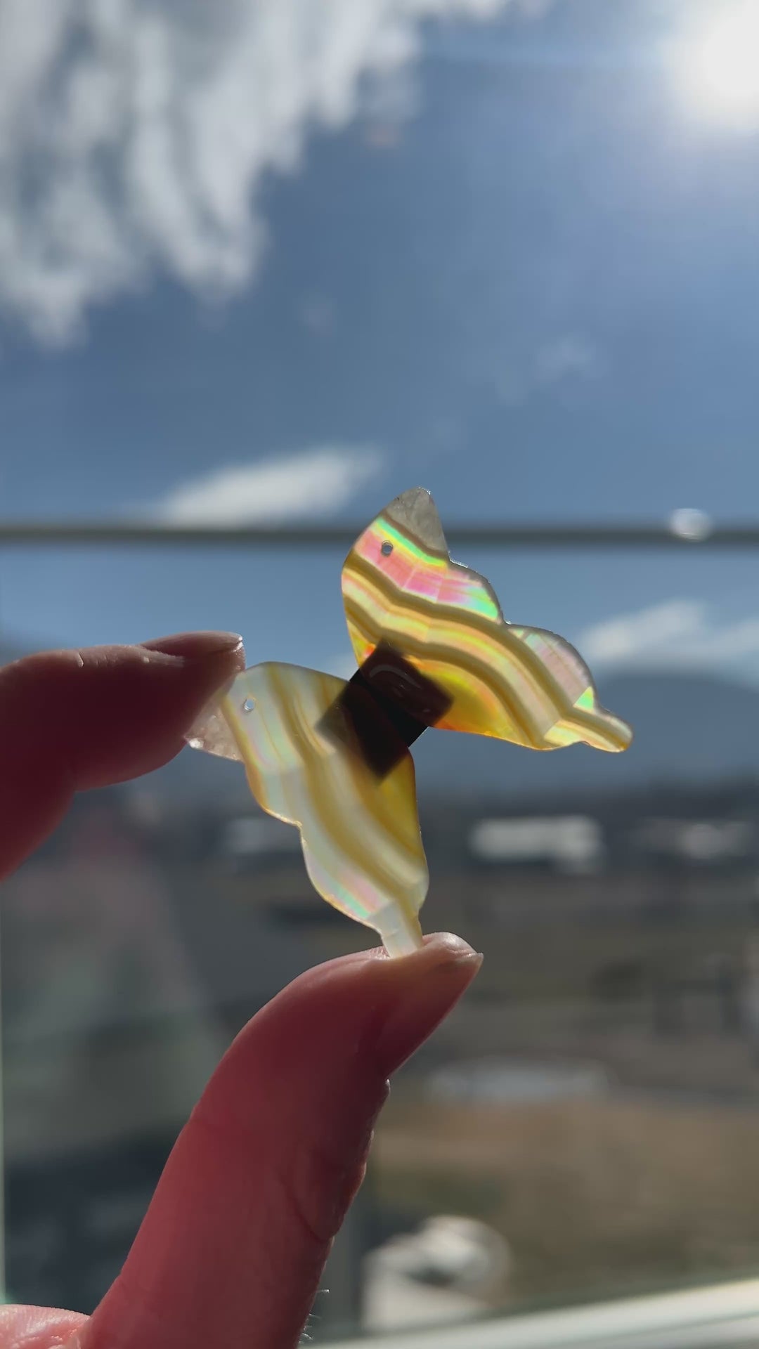 Iris Agate Drilled Butteryfly Wings (26)