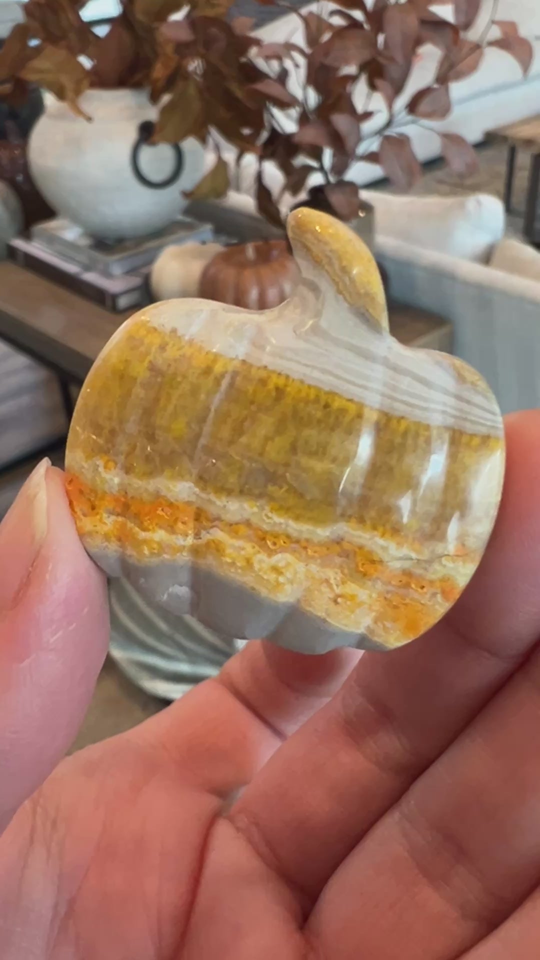 Bumblebee Jasper Pumpkin (33)