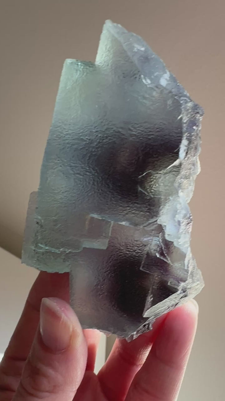 Fluorite (8) | 284.1g