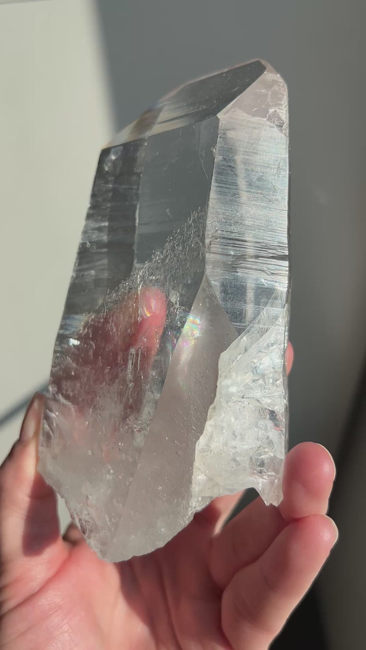 Colombian Lemurian (12) | 522g