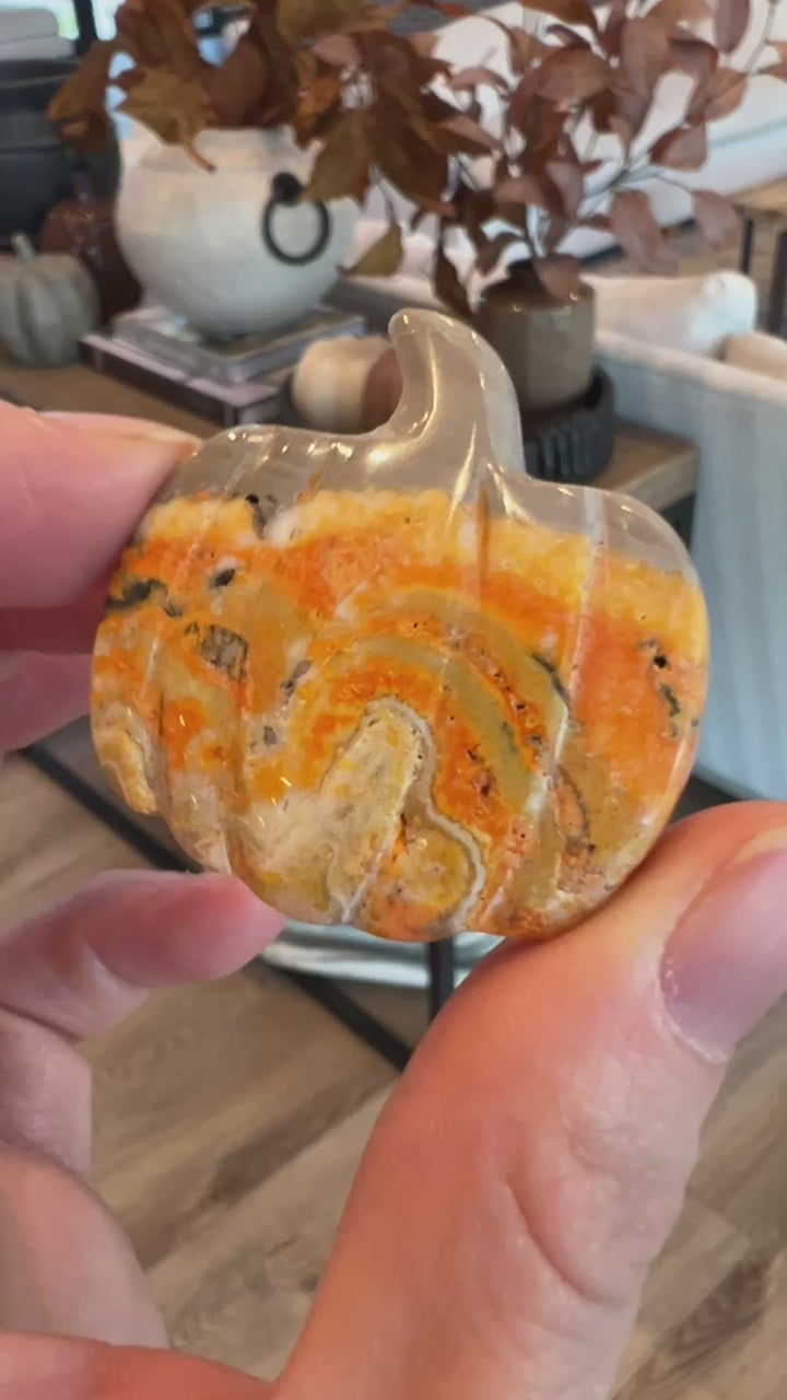 Bumblebee Jasper Pumpkin (1)