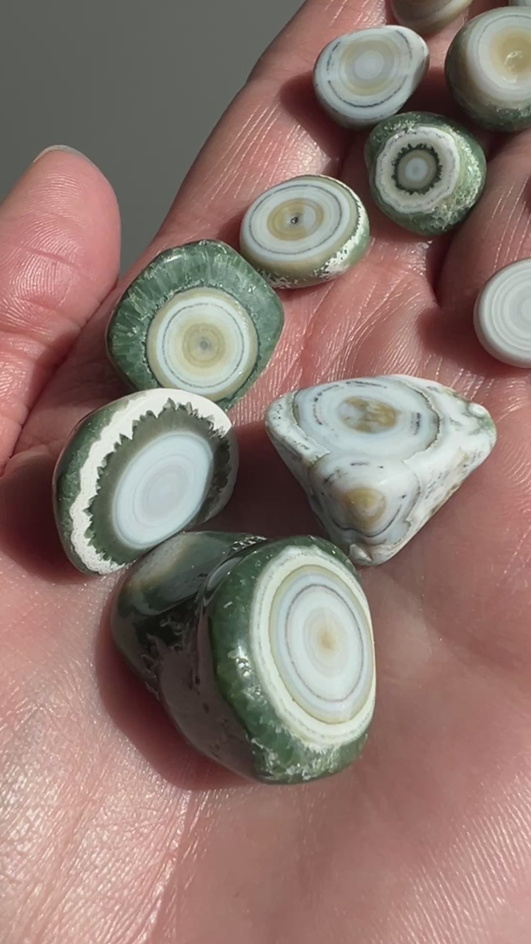 8th Vein Ocean Jasper Just The Orbs Lot