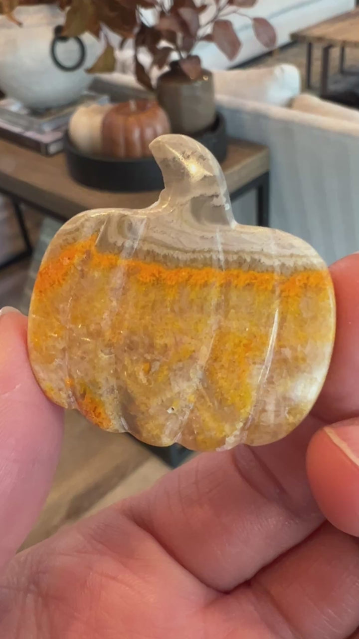 Bumblebee Jasper Pumpkin (15)
