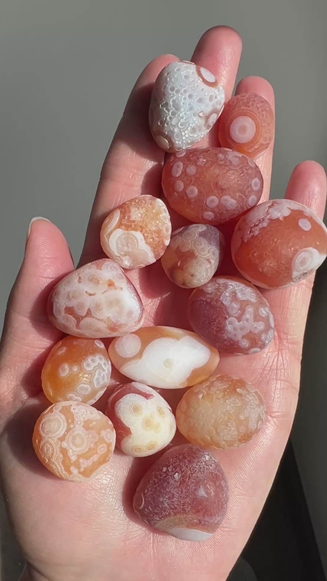 Wholesale Gobi Desert Agate Lot