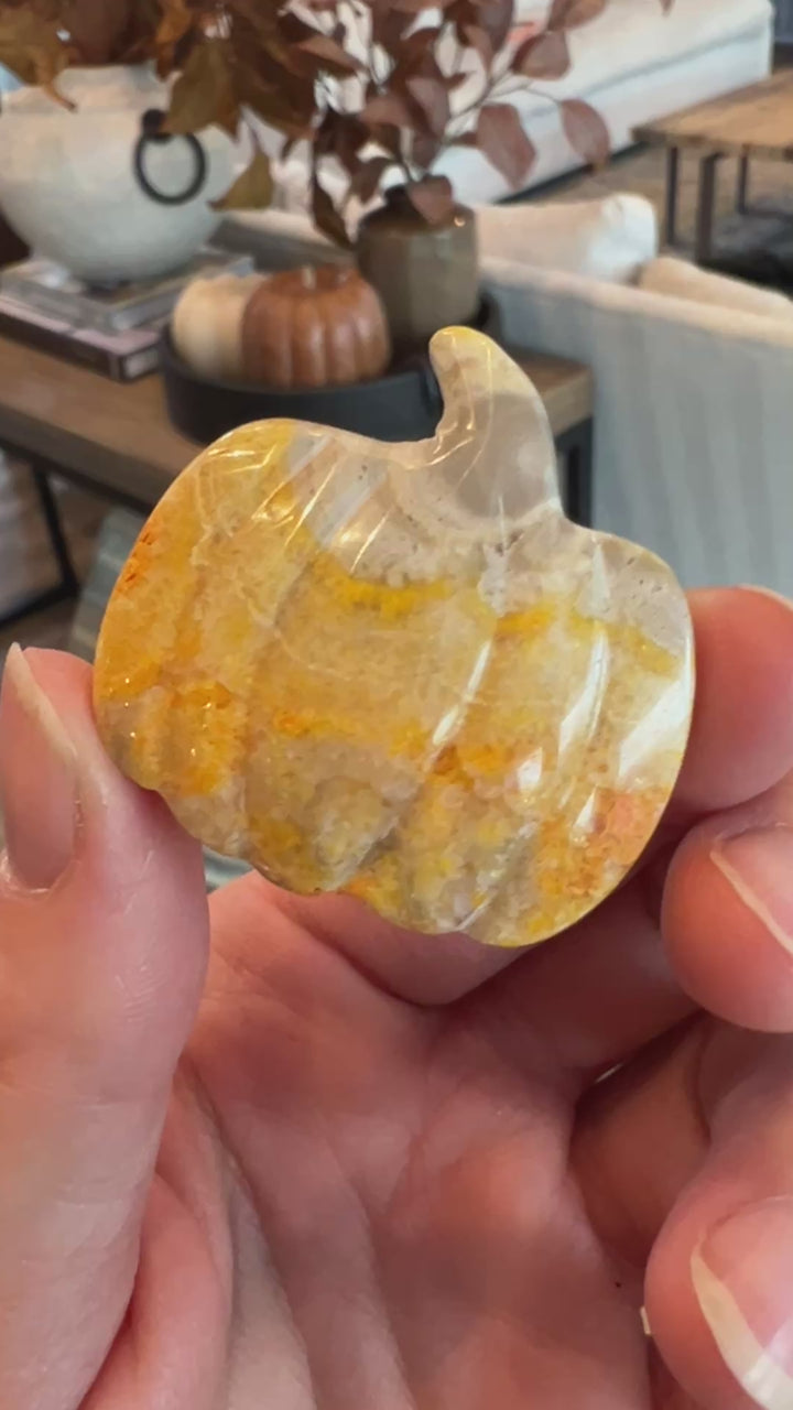 Bumblebee Jasper Pumpkin (14)