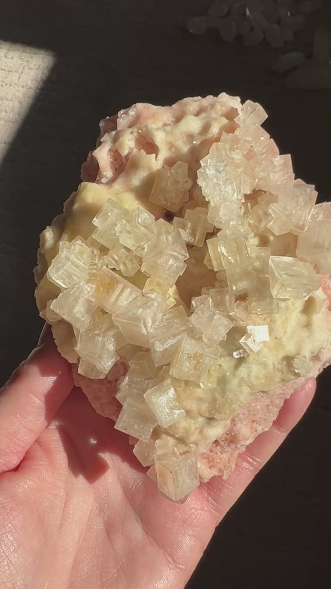 Pink Halite Double Bubble Enhydro (4) | 264.3g