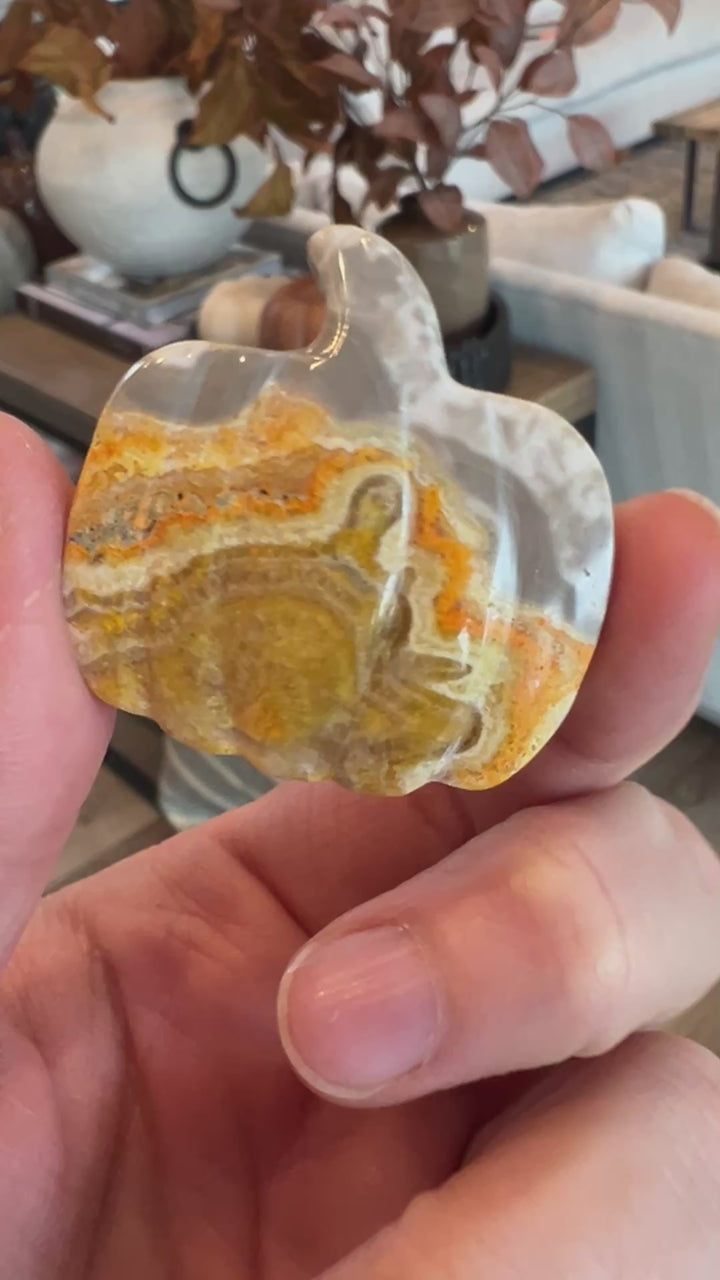 Bumblebee Jasper Pumpkin (32)