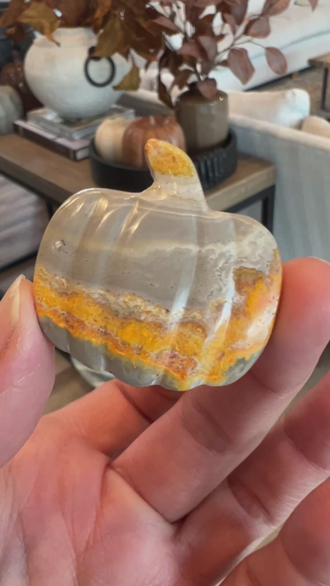 Bumblebee Jasper Pumpkin (31)