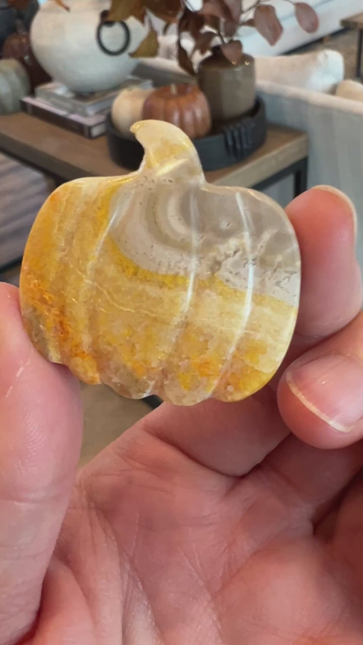 Bumblebee Jasper Pumpkin (19)