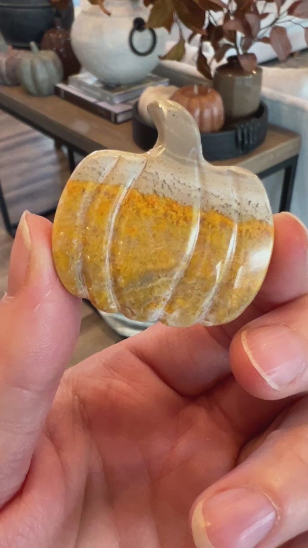Bumblebee Jasper Pumpkin (10)