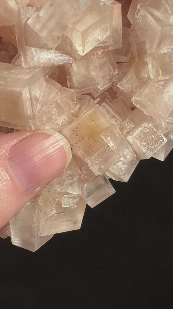 Pink Halite Double Bubble Enhydro (2) | 194g