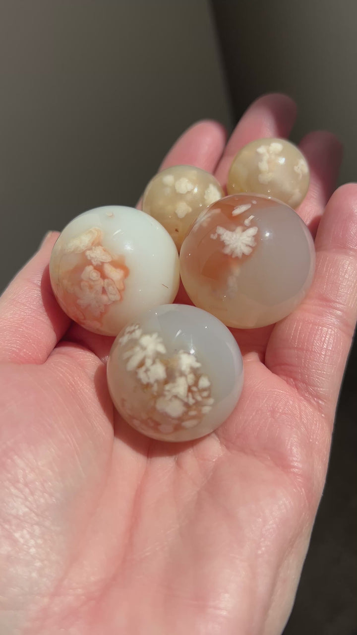 Wholesale Flower Agate Spheres