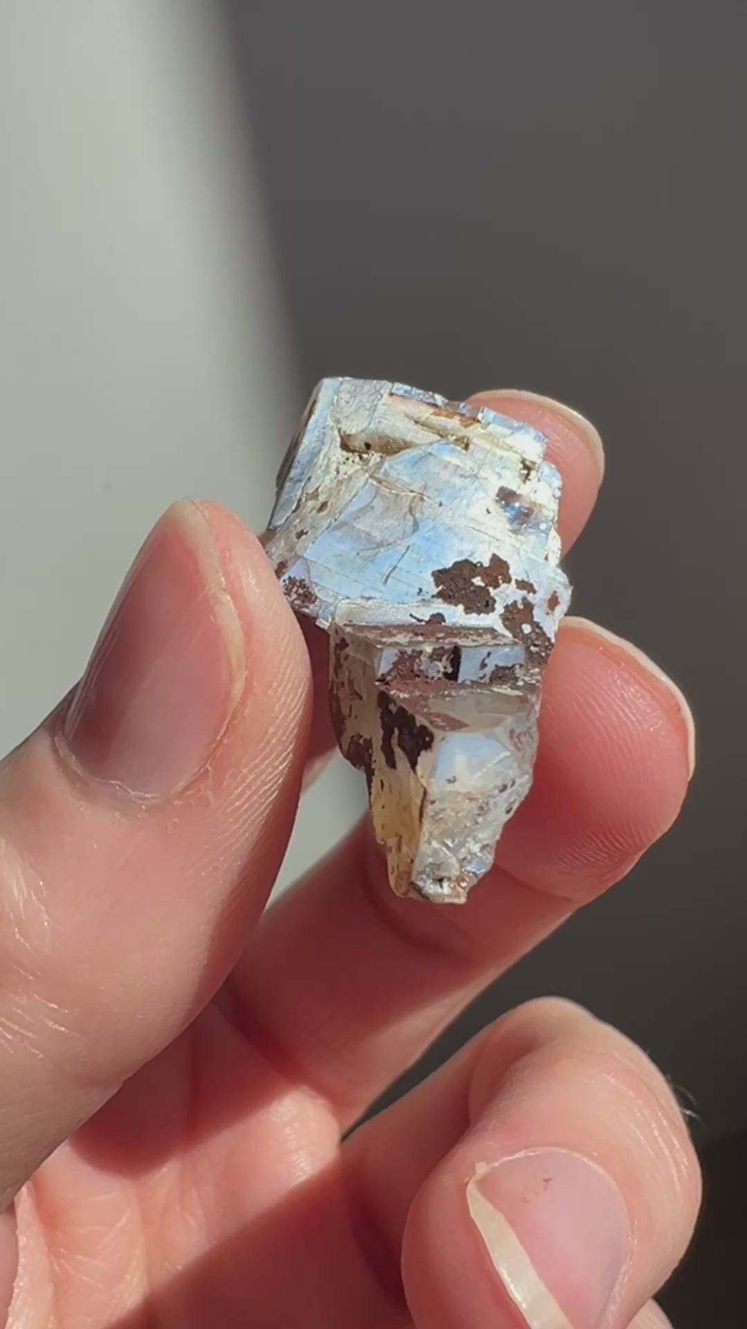 Mexican Moonstone (5) | 7.8g
