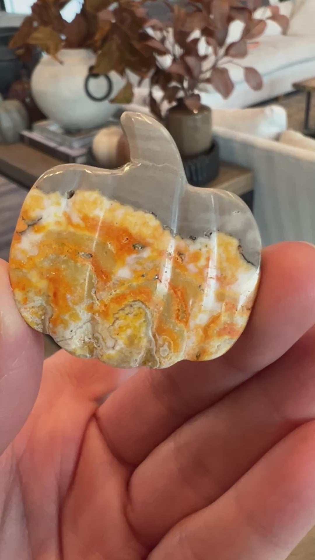 Bumblebee Jasper Pumpkin (22)