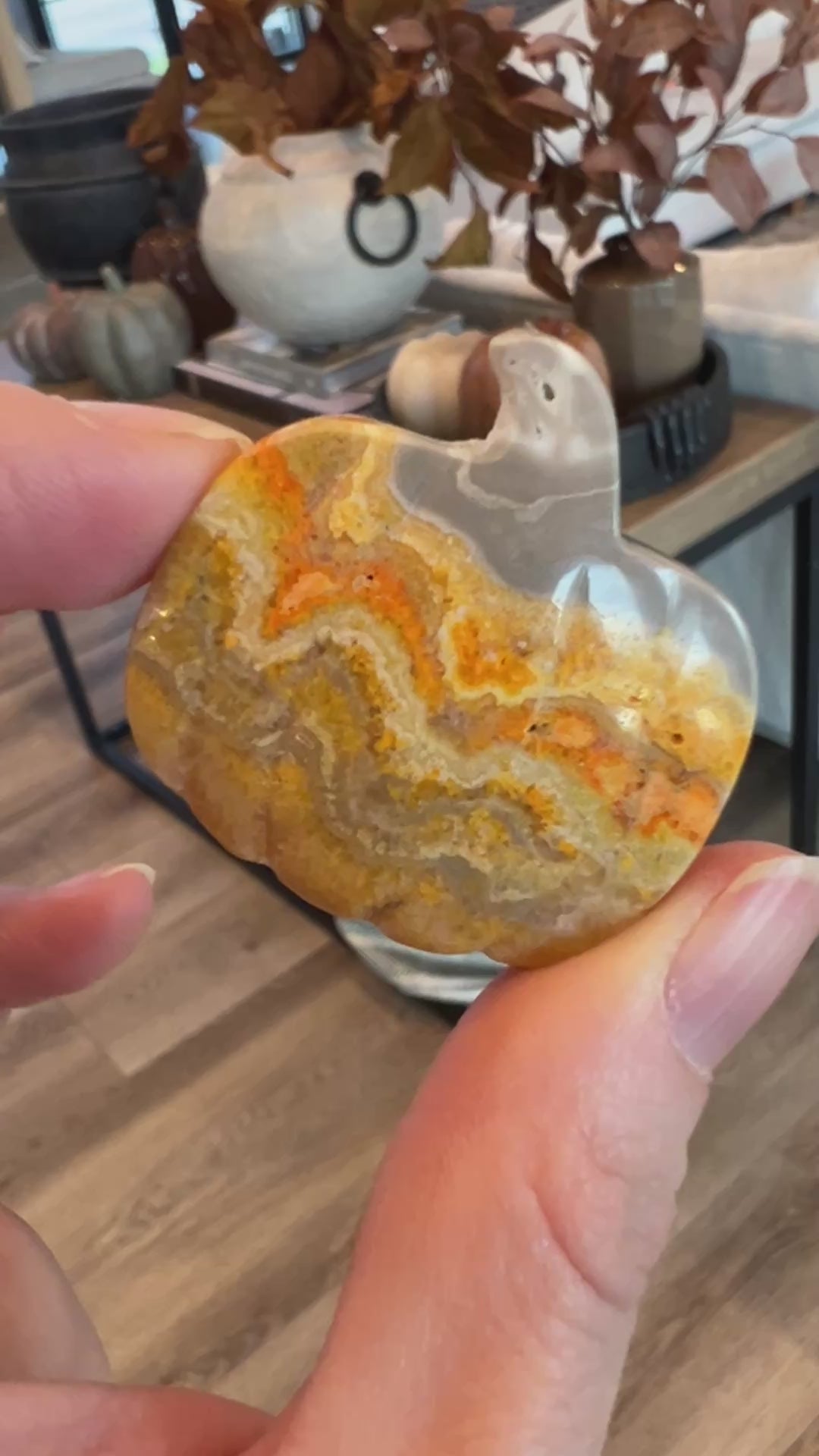 Bumblebee Jasper Pumpkin (4)