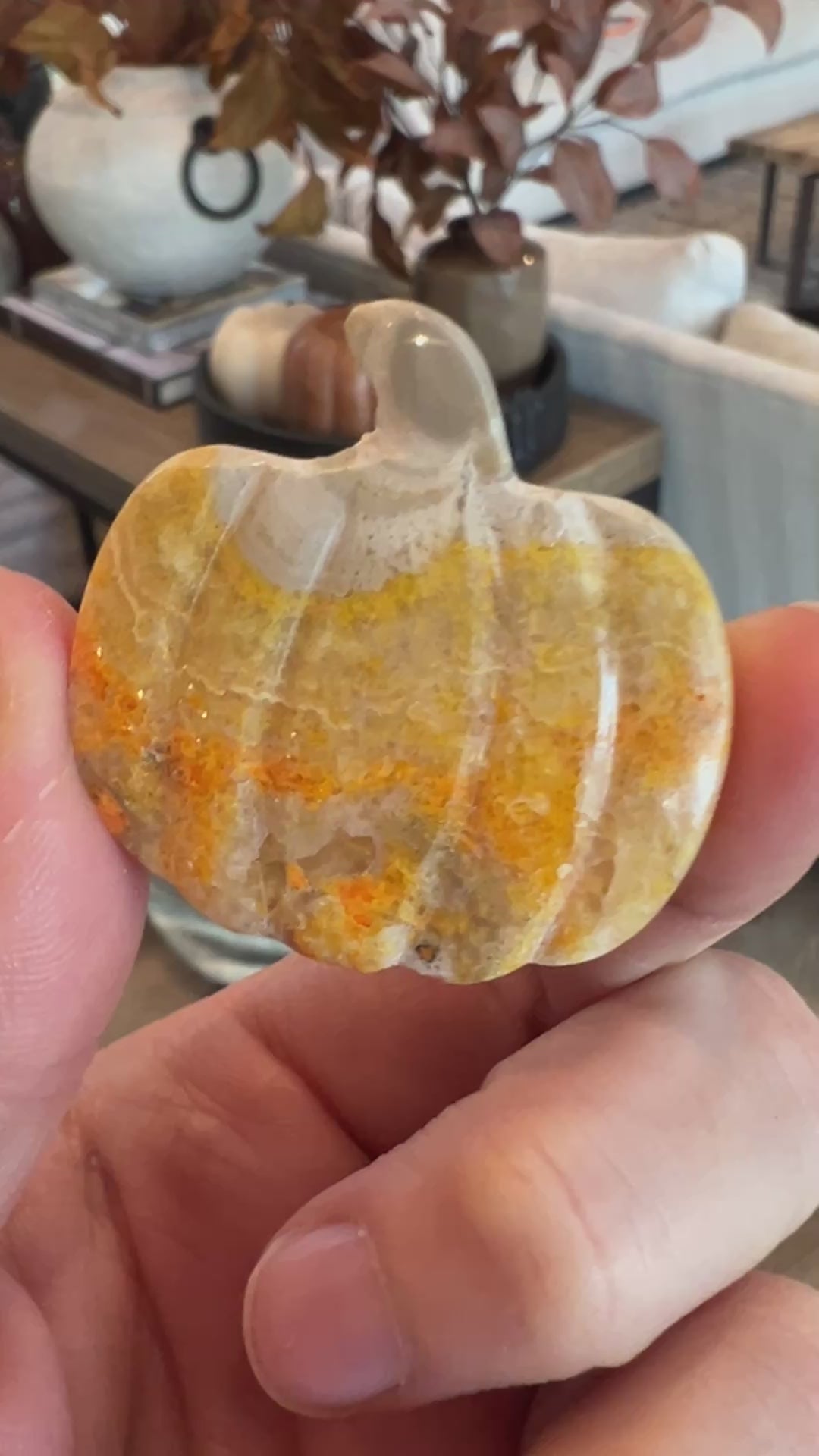 Bumblebee Jasper Pumpkin (33)