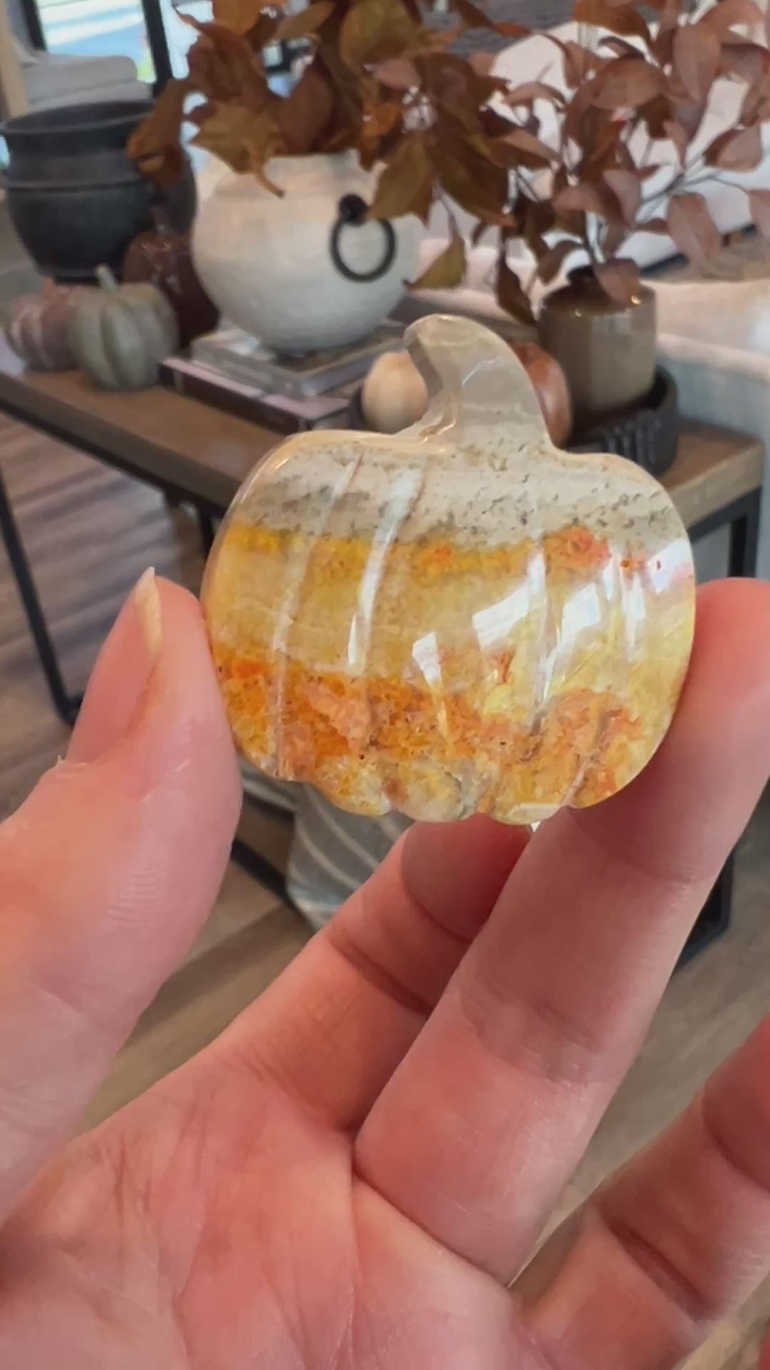 Bumblebee Jasper Pumpkin (5)