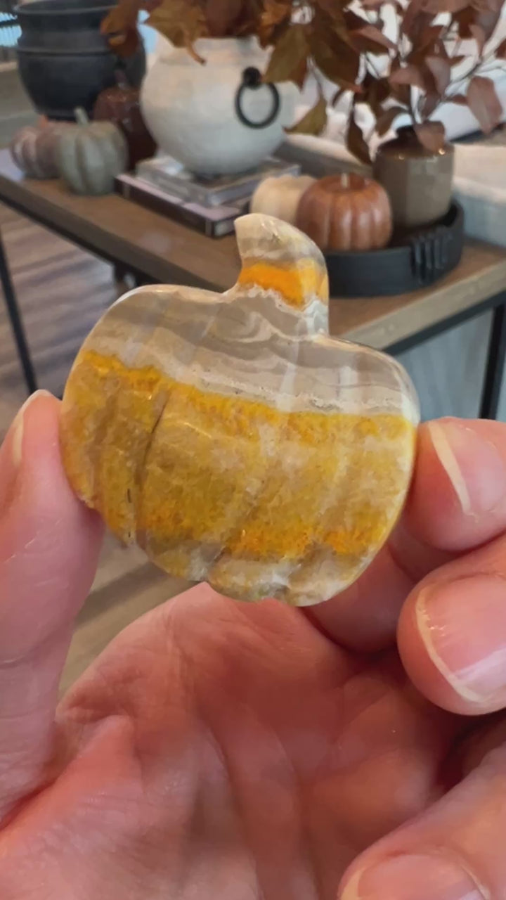 Bumblebee Jasper Pumpkin (9)