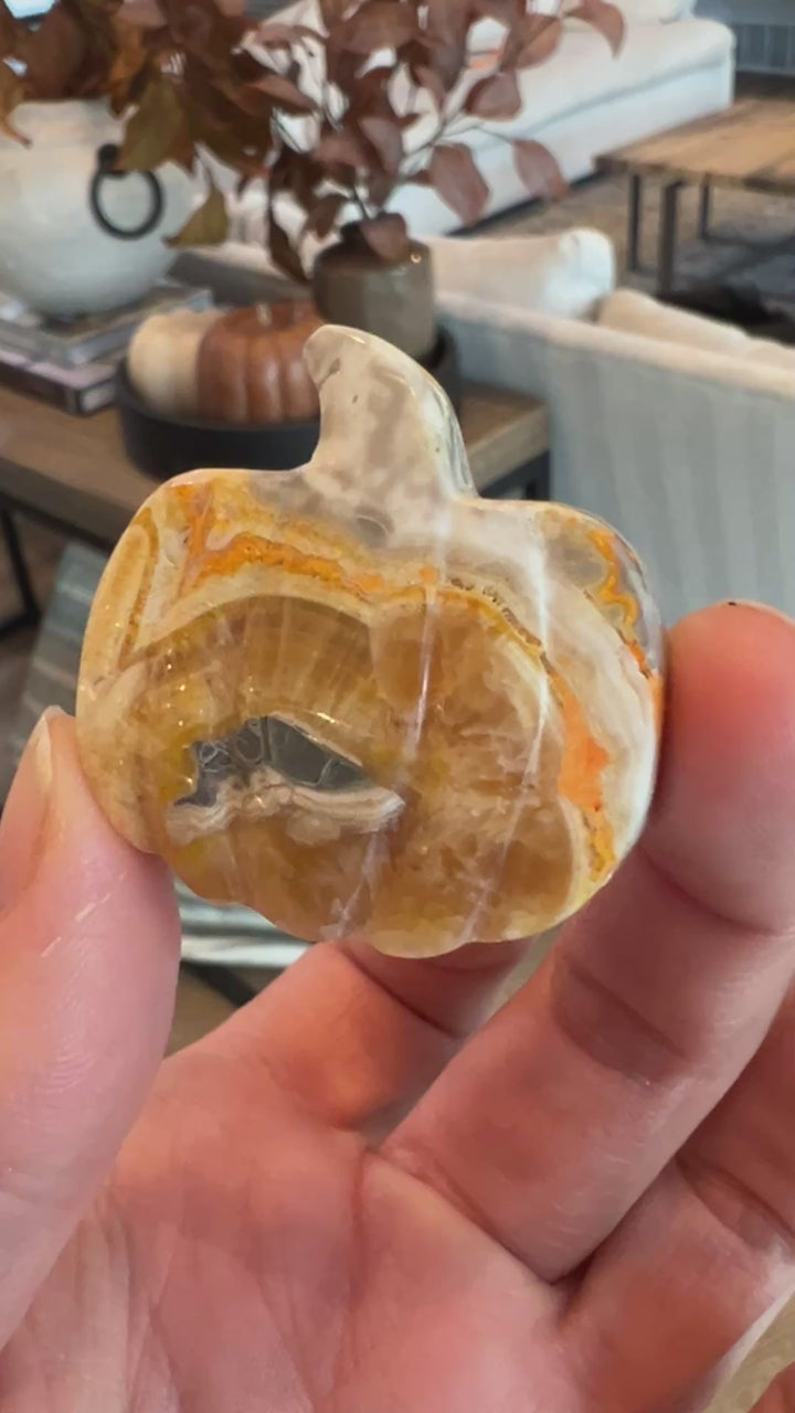 Bumblebee Jasper Pumpkin (18)