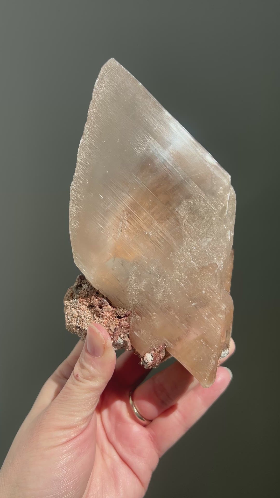 Naice Mine Mexico Selenite Double Bubble Enhydro | 1lb 11oz