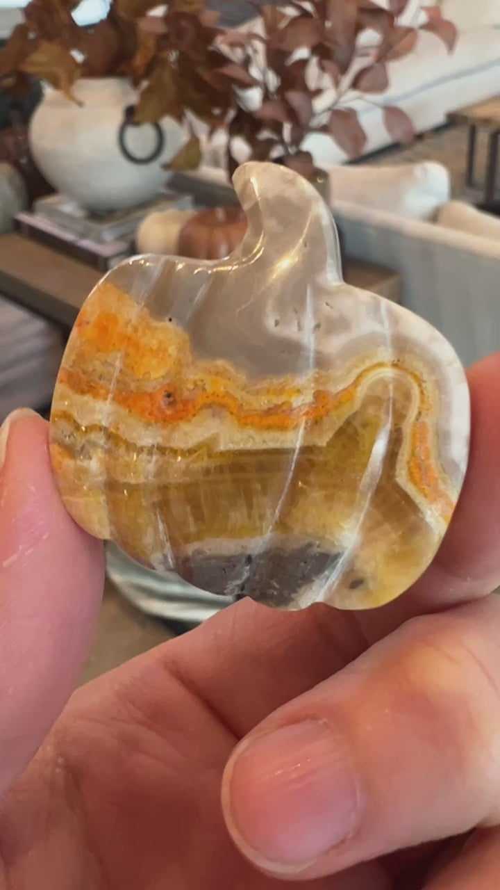 Bumblebee Jasper Pumpkin (29)