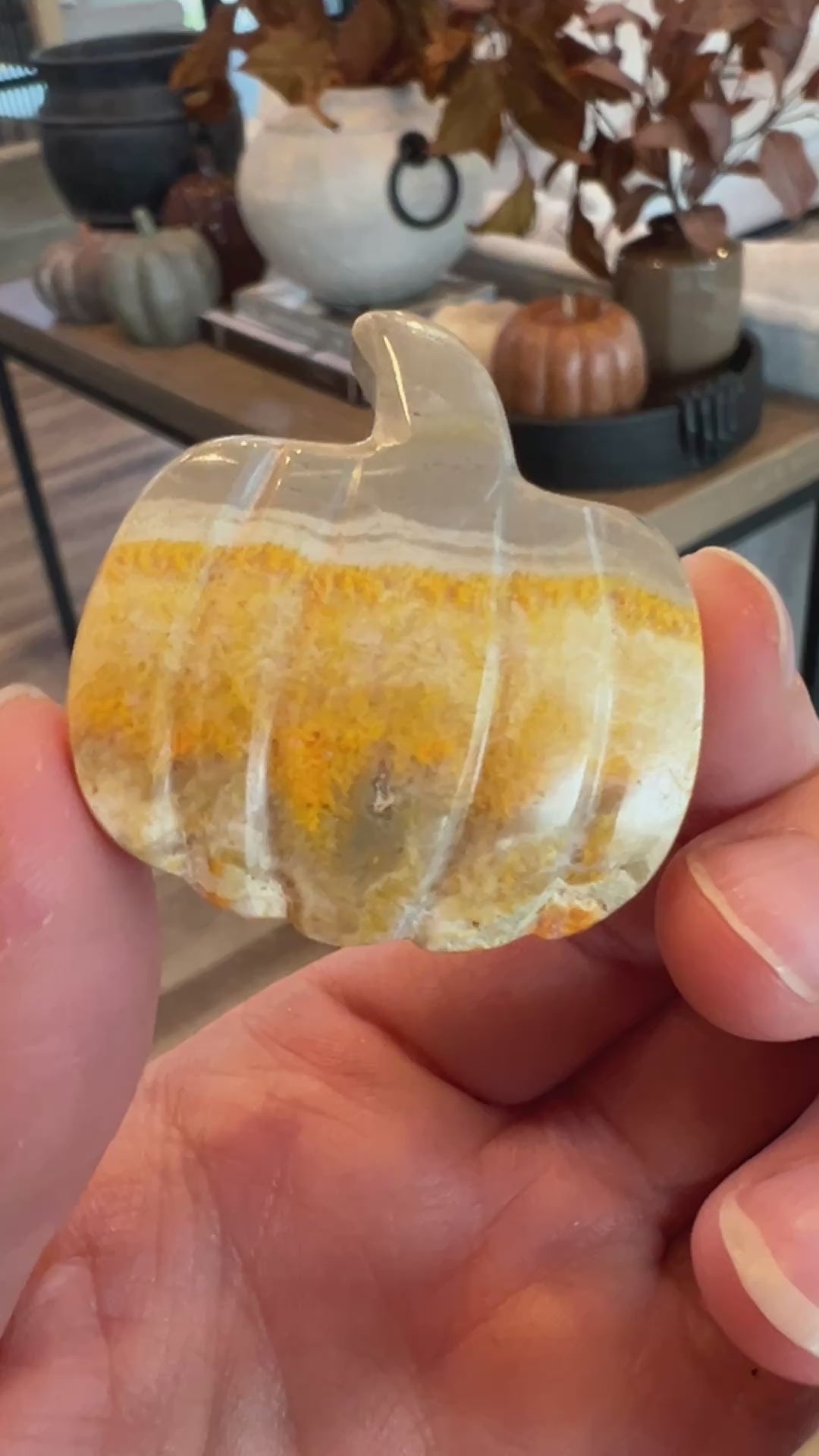 Bumblebee Jasper Pumpkin (8)