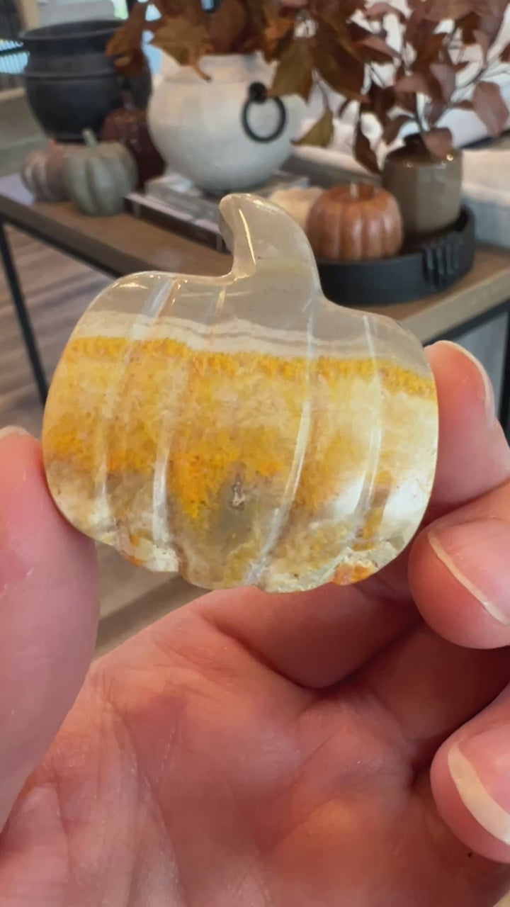 Bumblebee Jasper Pumpkin (8)