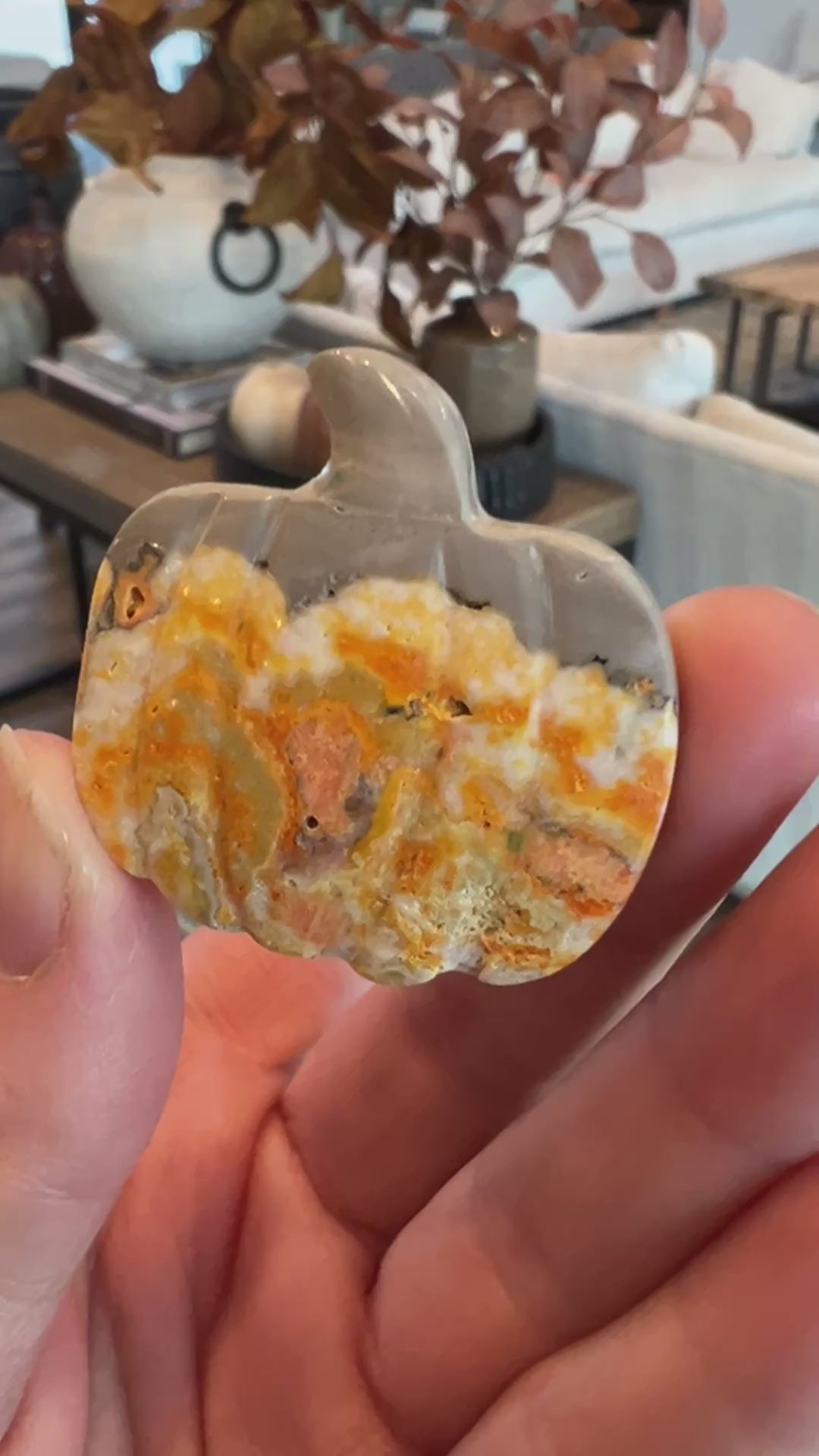 Bumblebee Jasper Pumpkin (17)