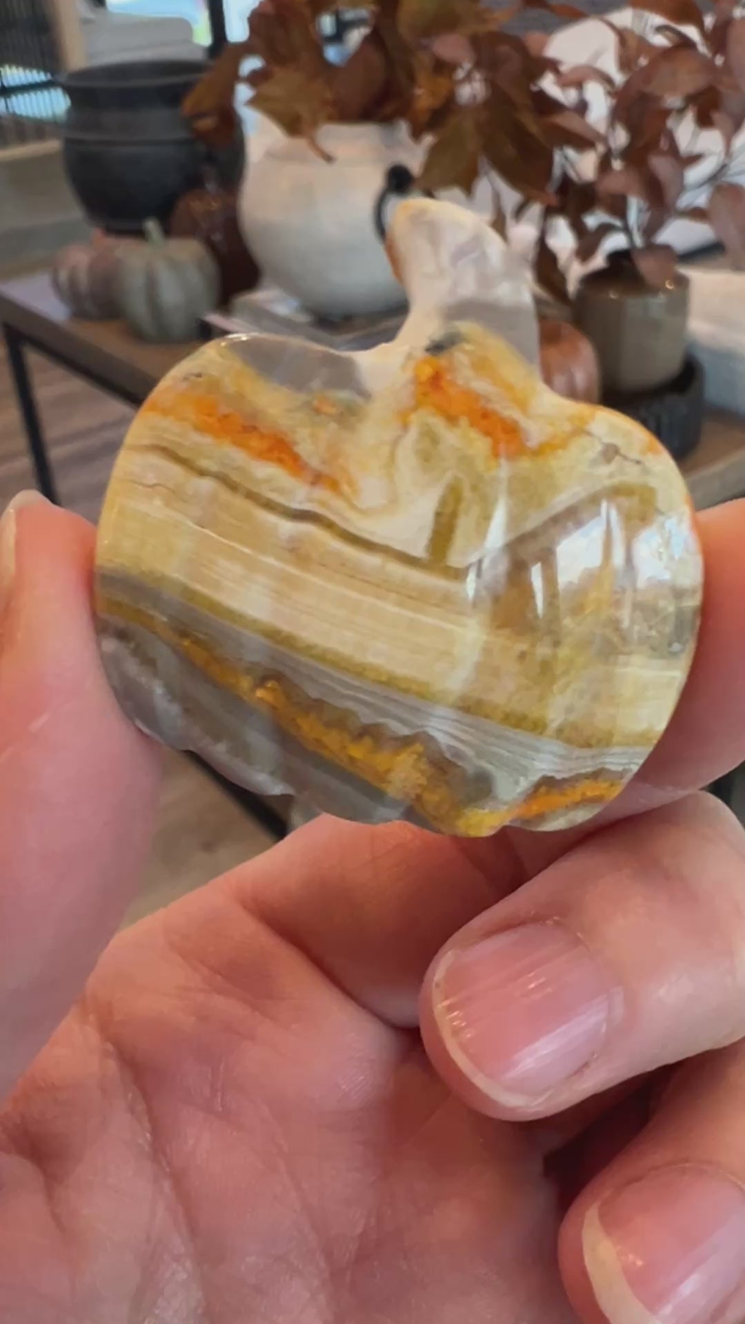Bumblebee Jasper Pumpkin (2)