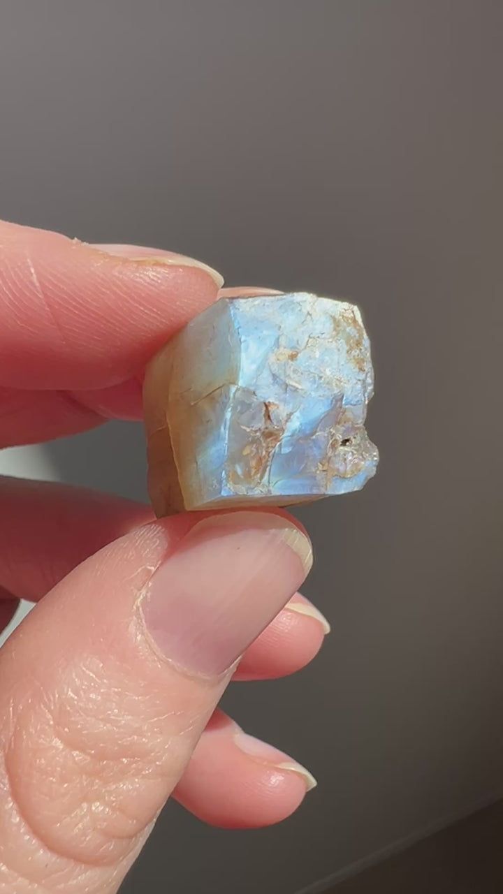 Mexican Moonstone (8) | 7.5g