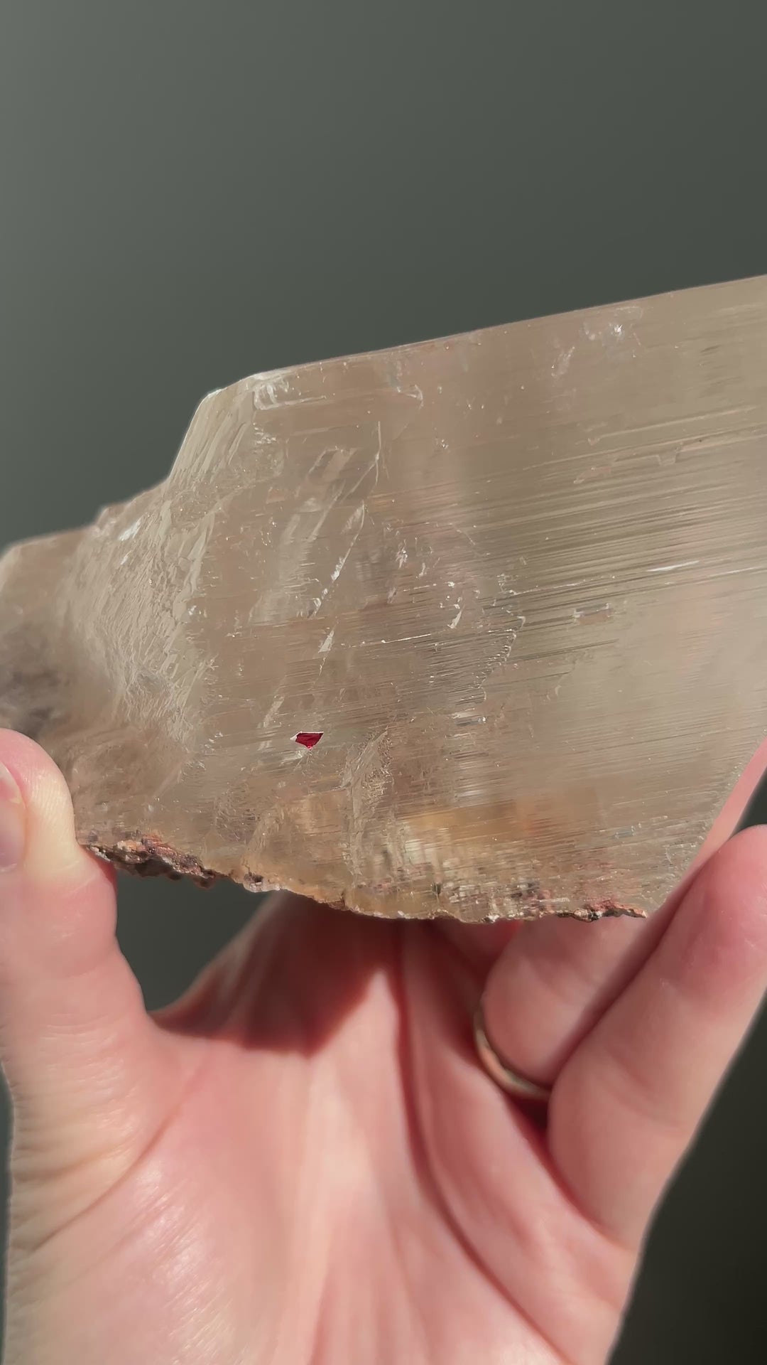 Naice Mine Mexico Selenite Double Bubble Enhydro | 1lb 11oz