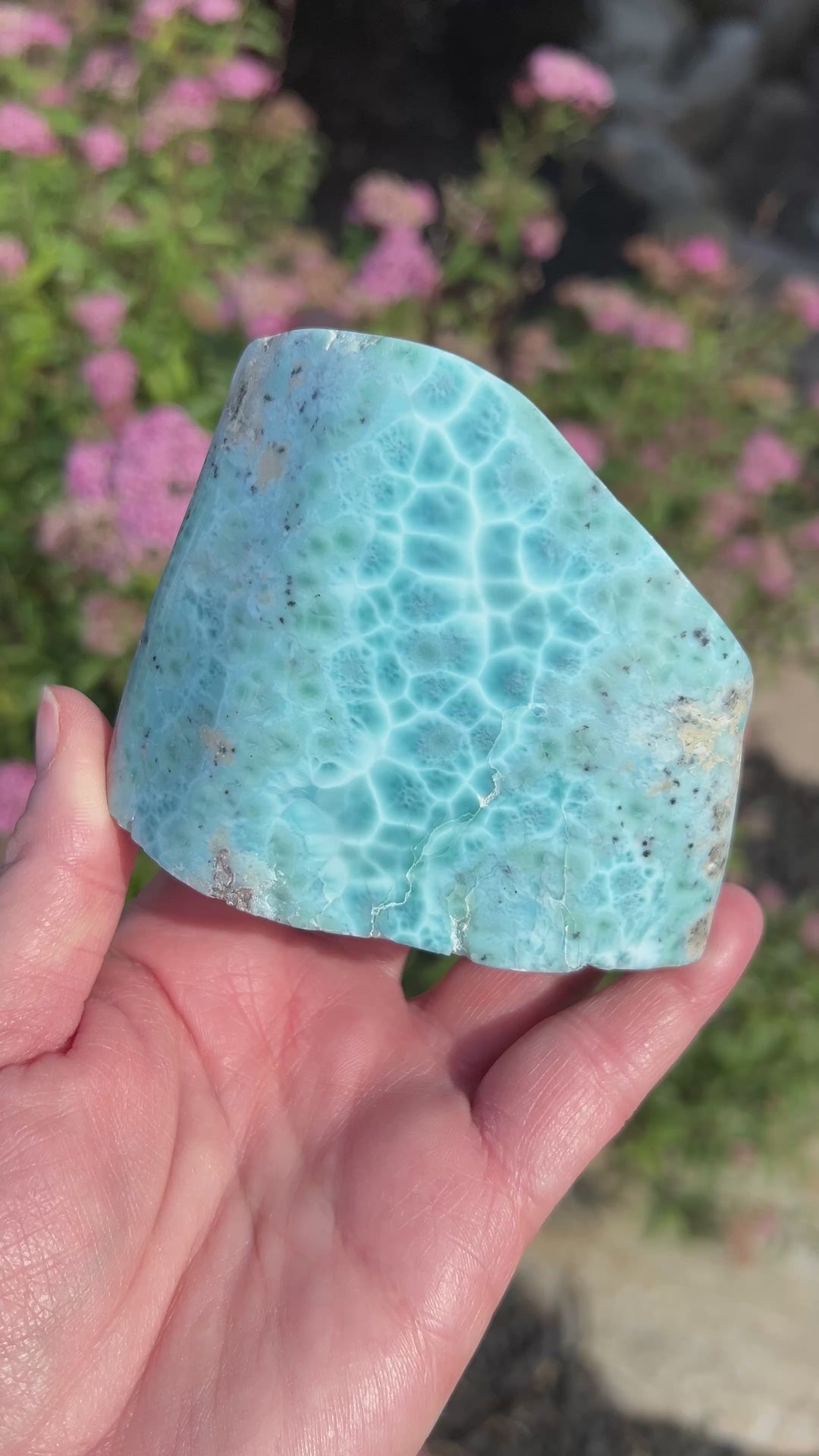 Larimar Freeform 26 | 476g