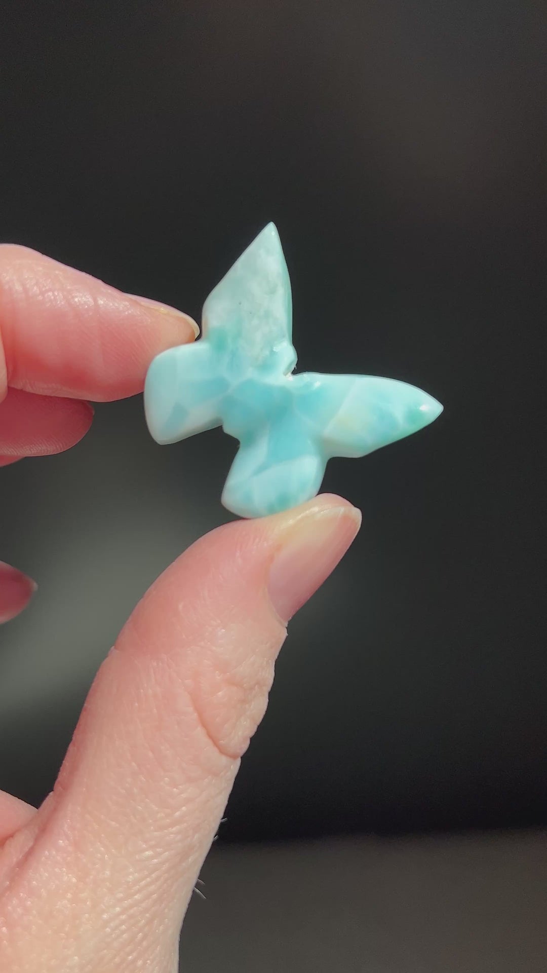 Larimar Butterfly Carving
