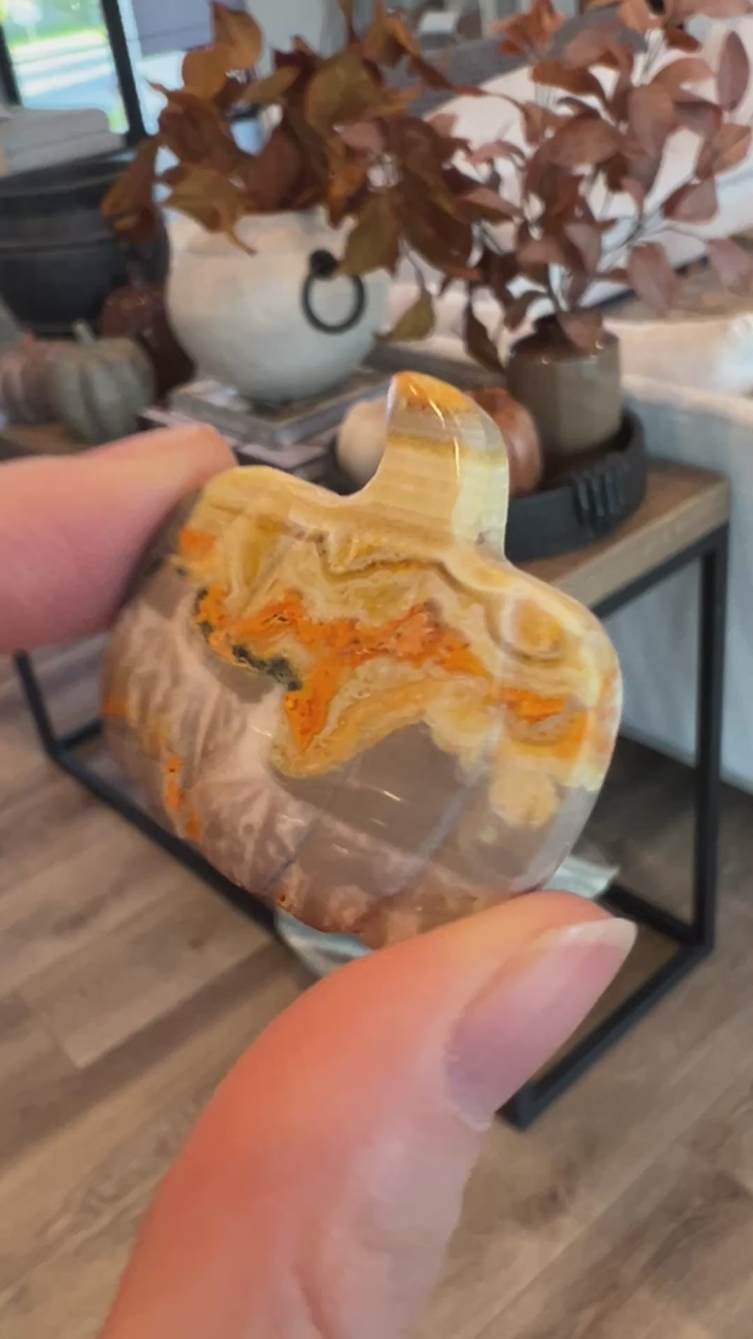 Bumblebee Jasper Pumpkin (3)