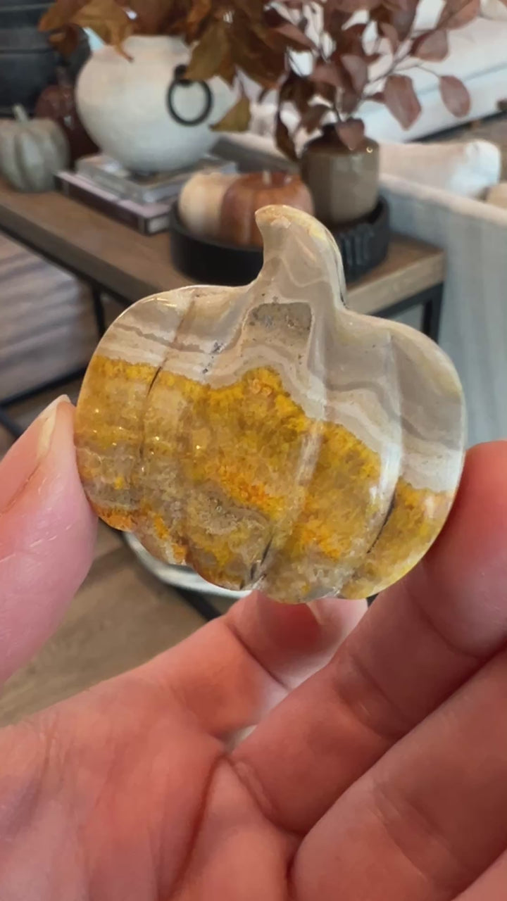 Bumblebee Jasper Pumpkin (25)